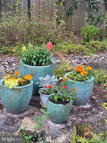 5608 WARWICK PL, Chevy Chase, MD 20815