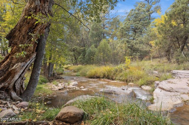 259 W FOREST SERVICE 249 Road, Young, AZ 85554