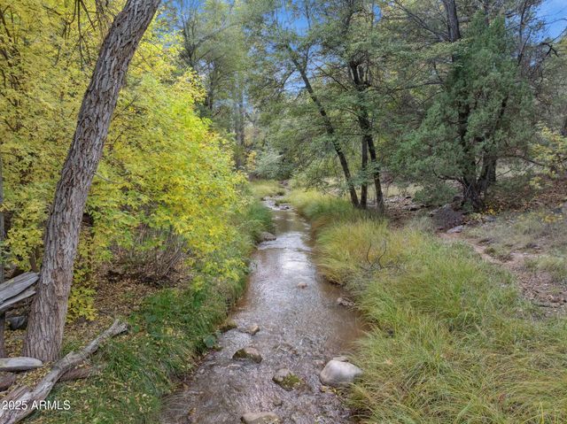 259 W FOREST SERVICE 249 Road, Young, AZ 85554