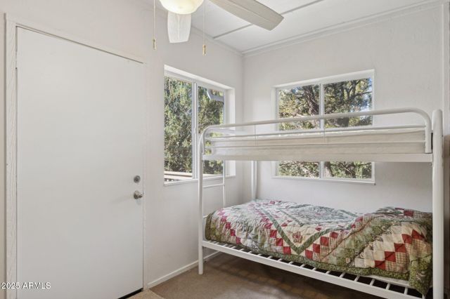 259 W FOREST SERVICE 249 Road, Young, AZ 85554