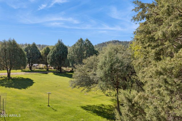 259 W FOREST SERVICE 249 Road, Young, AZ 85554