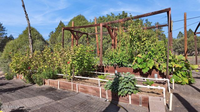 259 W FOREST SERVICE 249 Road, Young, AZ 85554