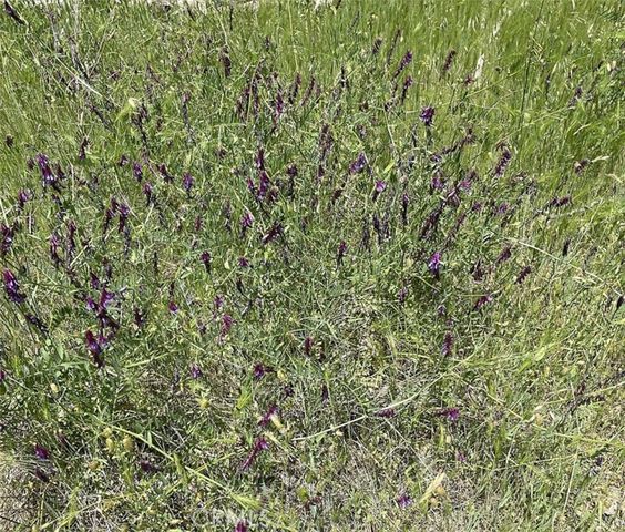 9660 Harrington Flat Road, Loch Lomond, CA 95461