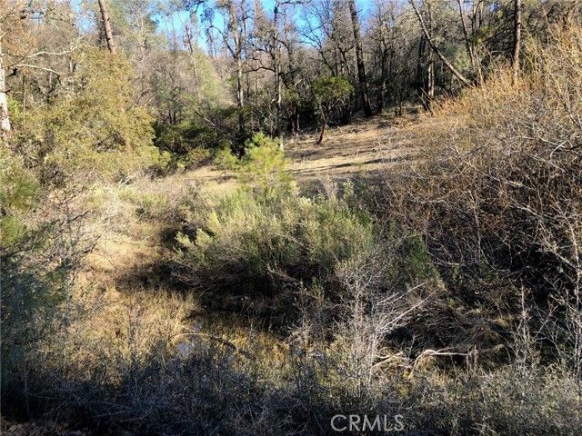 9660 Harrington Flat Road, Loch Lomond, CA 95461