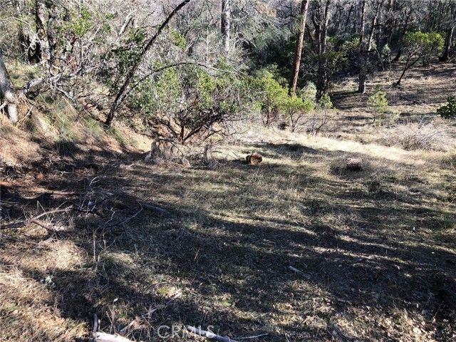 9660 Harrington Flat Road, Loch Lomond, CA 95461