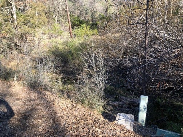 9660 Harrington Flat Road, Loch Lomond, CA 95461