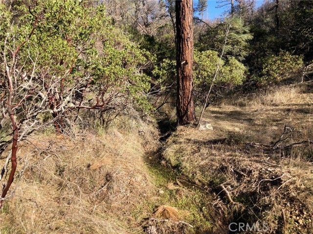 9660 Harrington Flat Road, Loch Lomond, CA 95461