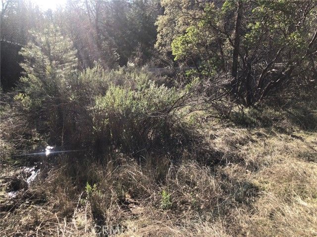 9660 Harrington Flat Road, Loch Lomond, CA 95461