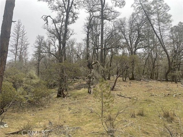 9660 Harrington Flat Road, Loch Lomond, CA 95461
