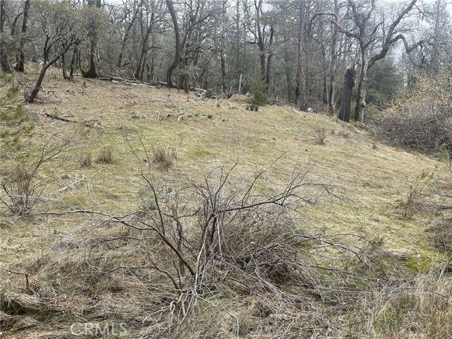 9660 Harrington Flat Road, Loch Lomond, CA 95461