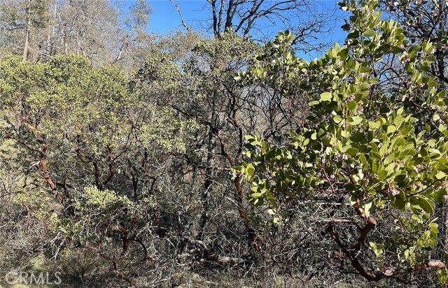 9660 Harrington Flat Road, Loch Lomond, CA 95461