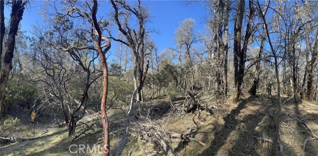 9660 Harrington Flat Road, Loch Lomond, CA 95461