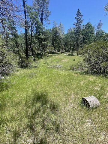 9660 Harrington Flat Road, Loch Lomond, CA 95461