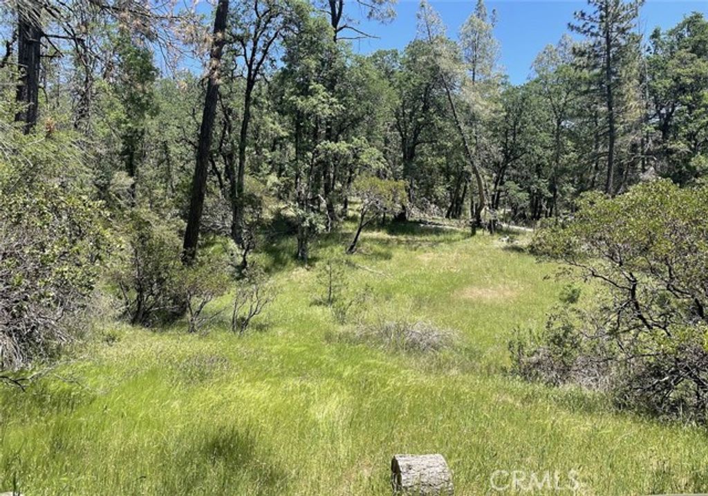 9660 Harrington Flat Road, Loch Lomond, CA 95461