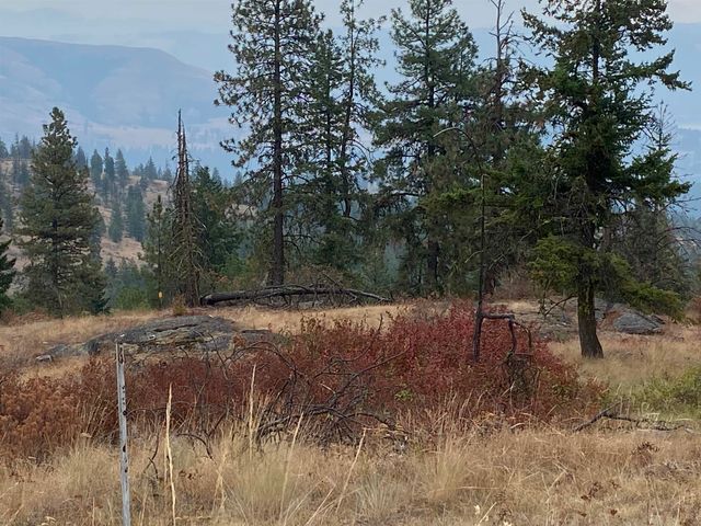 34 Peace Ridge Way, Kettle Falls, WA 99141