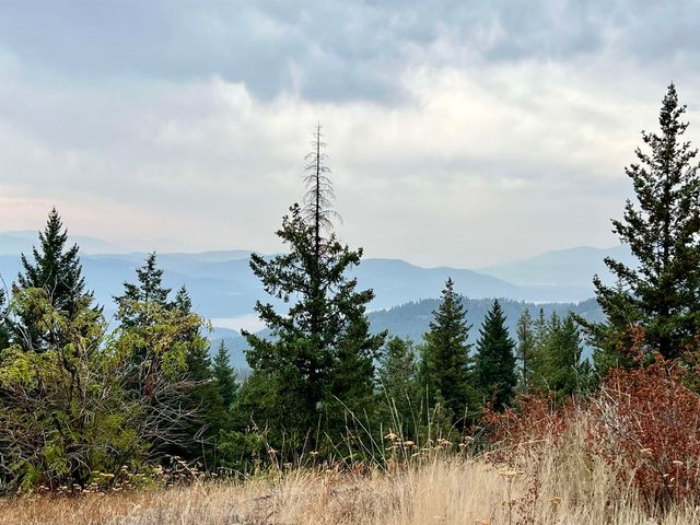 34 Peace Ridge Way, Kettle Falls, WA 99141