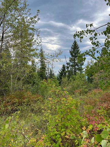 34 Peace Ridge Way, Kettle Falls, WA 99141