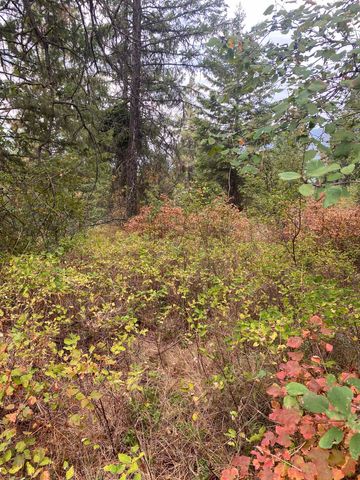 34 Peace Ridge Way, Kettle Falls, WA 99141