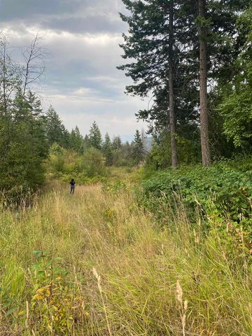 34 Peace Ridge Way, Kettle Falls, WA 99141
