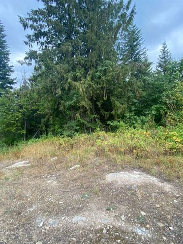 34 Peace Ridge Way, Kettle Falls, WA 99141