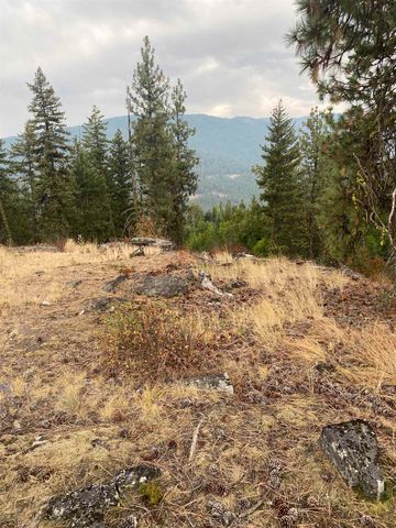 34 Peace Ridge Way, Kettle Falls, WA 99141