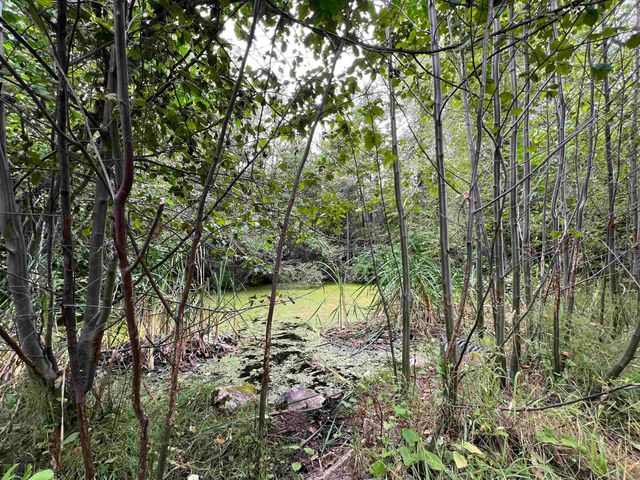 34 Peace Ridge Way, Kettle Falls, WA 99141