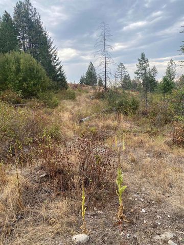 34 Peace Ridge Way, Kettle Falls, WA 99141