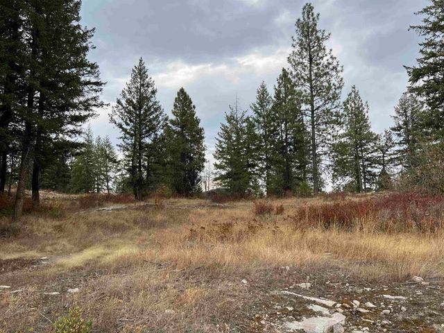 34 Peace Ridge Way, Kettle Falls, WA 99141