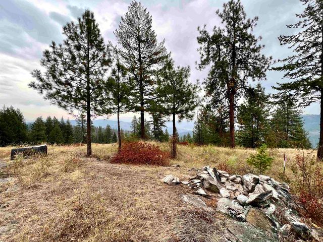 34 Peace Ridge Way, Kettle Falls, WA 99141