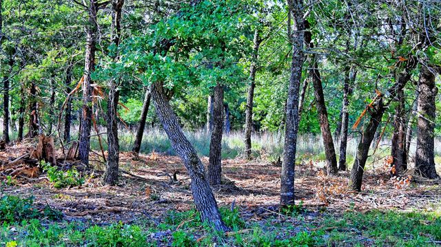 Lots 352-354 Preserve Court, Sunset, TX 76270