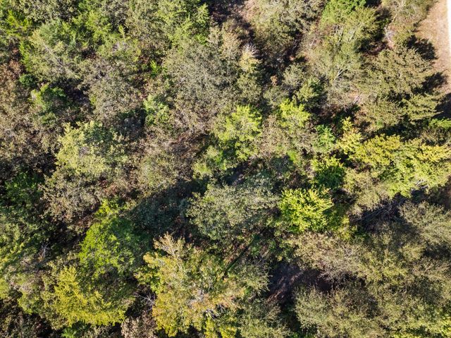 TBD County Road 3322, Leesburg, TX 75451