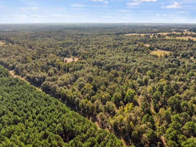 TBD County Road 3322, Leesburg, TX 75451