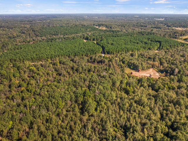 TBD County Road 3322, Leesburg, TX 75451