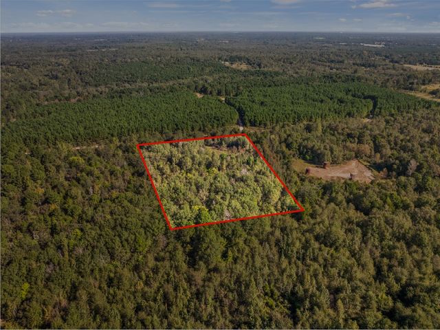 TBD County Road 3322, Leesburg, TX 75451