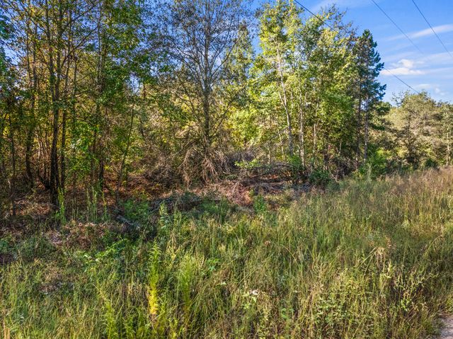 TBD County Road 3322, Leesburg, TX 75451