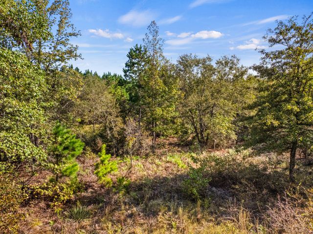 TBD County Road 3322, Leesburg, TX 75451