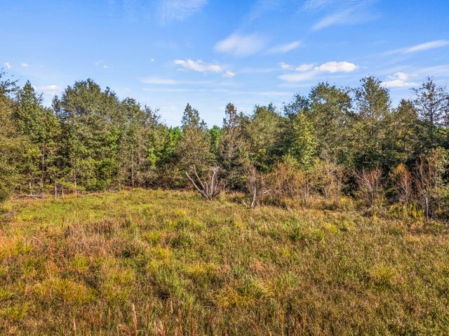 TBD County Road 3322, Leesburg, TX 75451