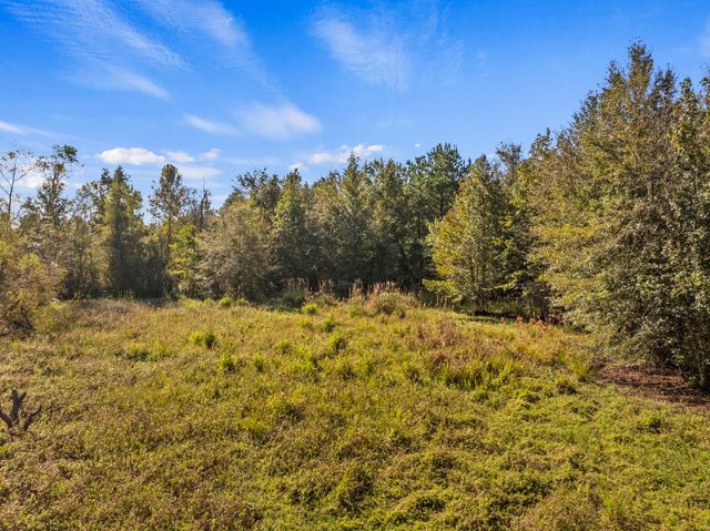 TBD County Road 3322, Leesburg, TX 75451