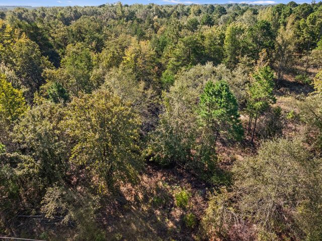 TBD County Road 3322, Leesburg, TX 75451