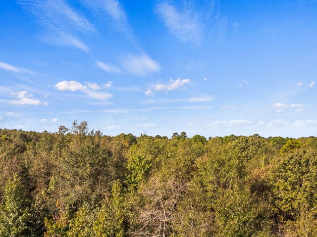 TBD County Road 3322, Leesburg, TX 75451