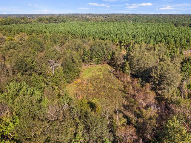 TBD County Road 3322, Leesburg, TX 75451