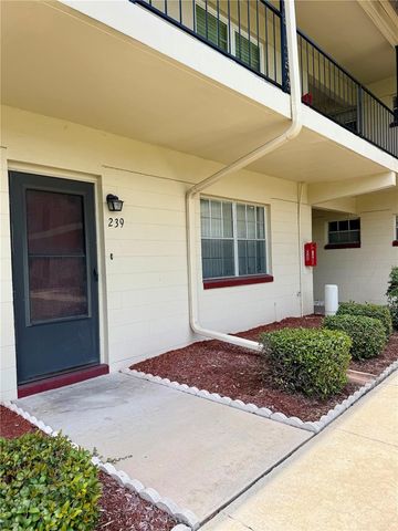 5505 HERNANDES DRIVE 239, Orlando, FL 32808