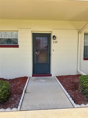 5505 HERNANDES DRIVE 239, Orlando, FL 32808