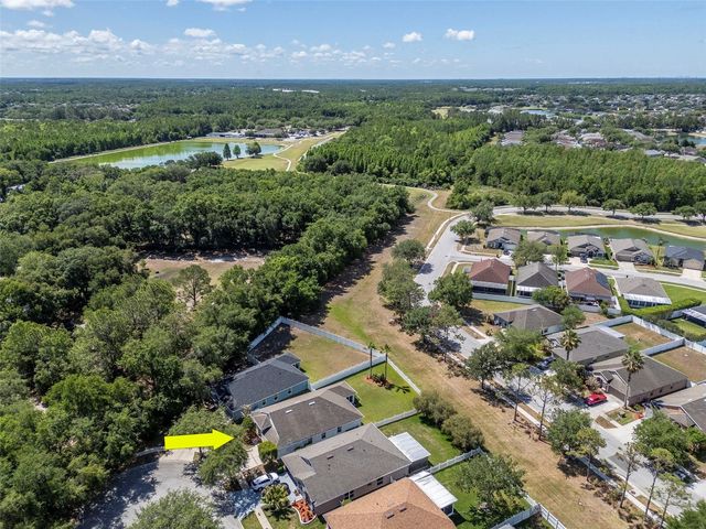 25944 WINNING COLORS WAY, Wesley Chapel, FL 33544