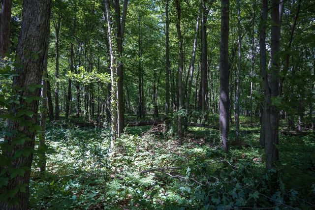 N5861 Woodland Hills Road, New Lisbon, WI 53950