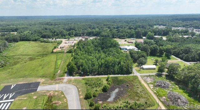 287 6th NE 2, Reform, AL 35481