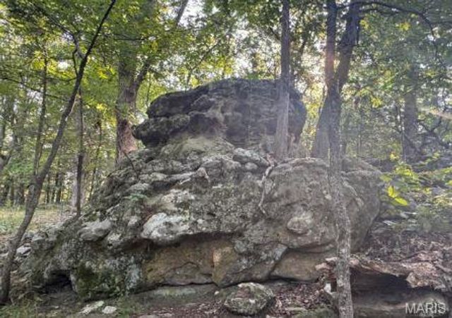 1483 Cedar Ridge Drive, Hermann, MO 65041