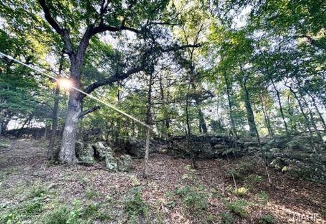 1483 Cedar Ridge Drive, Hermann, MO 65041