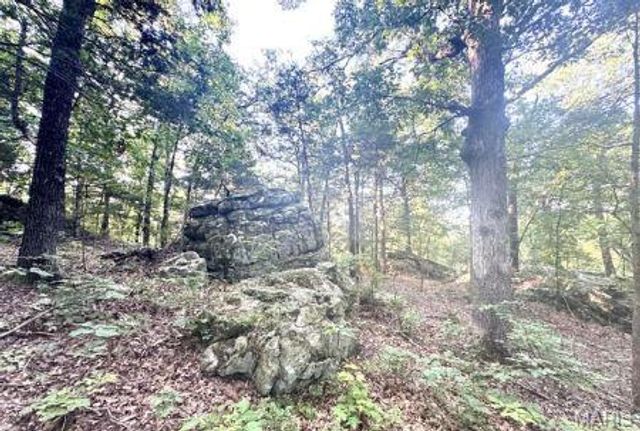 1483 Cedar Ridge Drive, Hermann, MO 65041