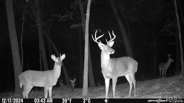 1483 Cedar Ridge Drive, Hermann, MO 65041